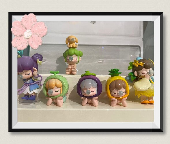 cutest Nanci collection