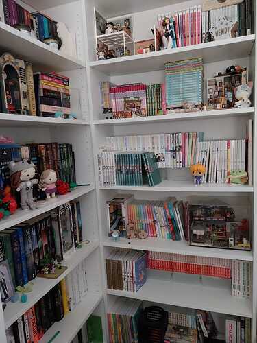 shelf