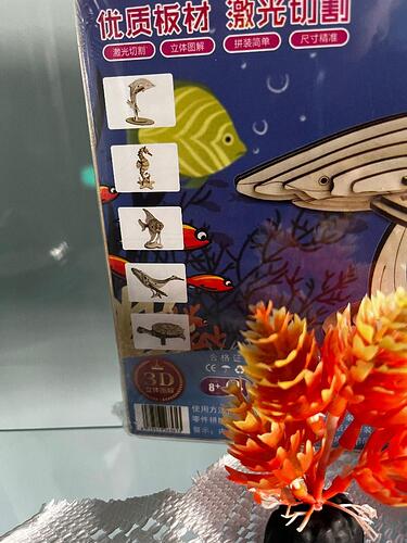 underwater animals