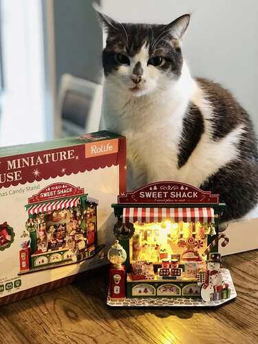 577125621_10240426929556045_4118370767073781837_n