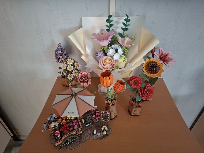 514377948_10238796847929498_3555353053123871674_n