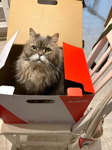 WhatsApp Image 2025-10-14 at 21.48.39