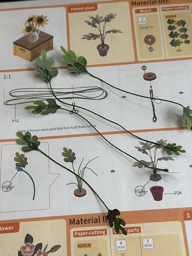 633688719_10164323108623120_8338244320864563745_n