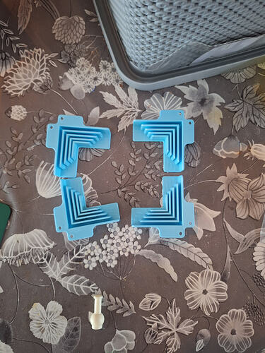 inbound8928517295049861124