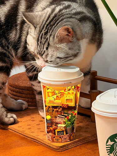 cat close-up inspecting the miniature cup