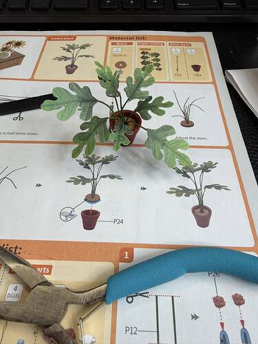 637730610_10164323108518120_744431775679590583_n