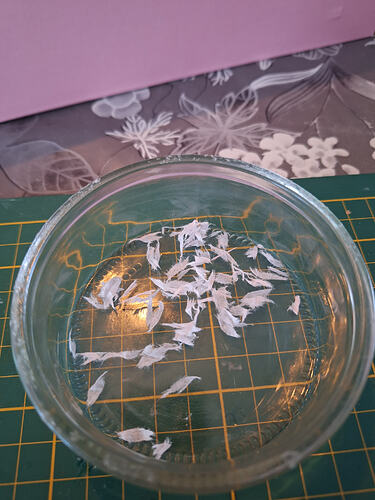 inbound3005507144287939906