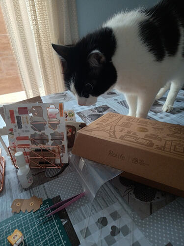 IMG_20260302_162831194_HDR