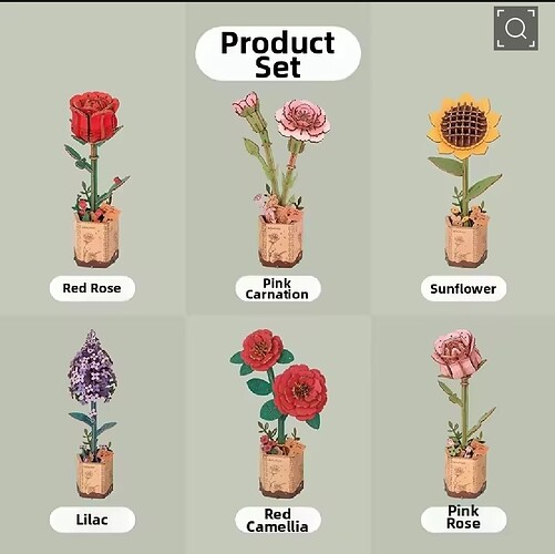 Screenshot_20260404_234707_Lazada