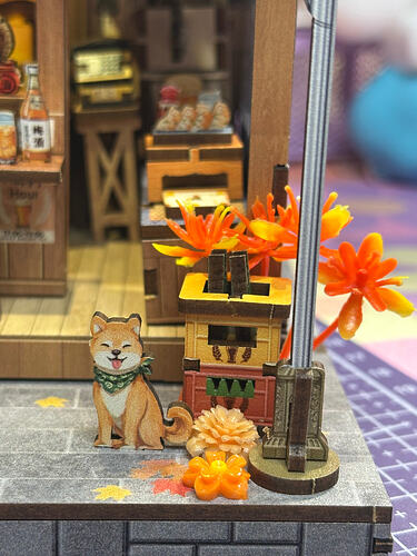 IMG_8133