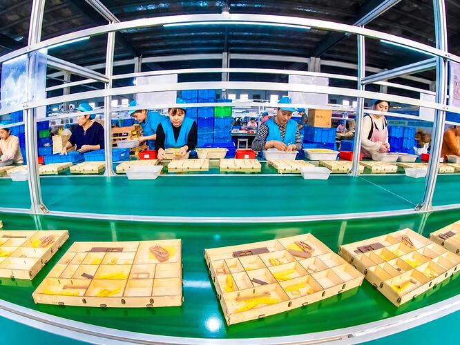 Robotime Shuyang Factory