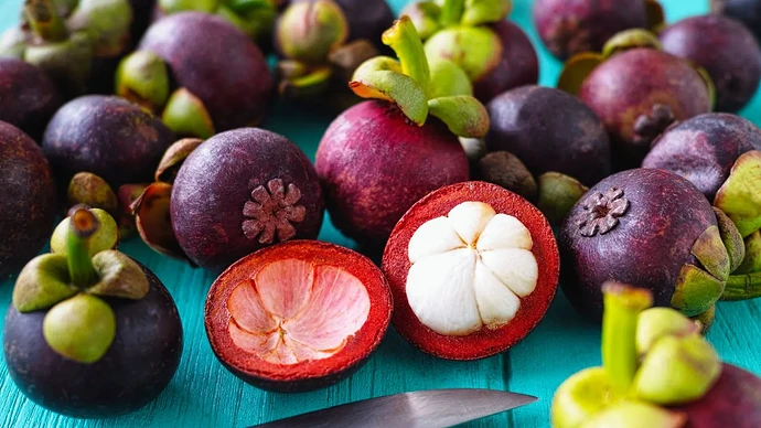 8c8e4891-977f-4326-b1cb-3a05d71127df_16-9-aspect-ratio_1600w_0