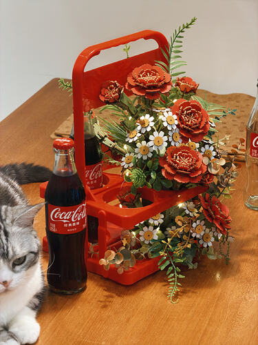 finished flower basket with Coca-Cola bottles and a cat