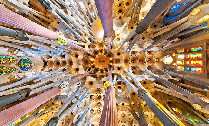 5b5519f62d84b4f130bf04e14f993e71