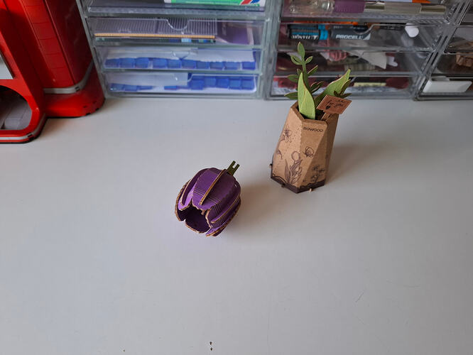 1000035073