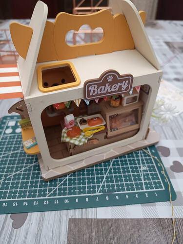 IMG_20260302_203029404