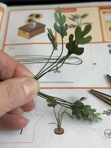 636736753_10164323108613120_1730404275428948853_n