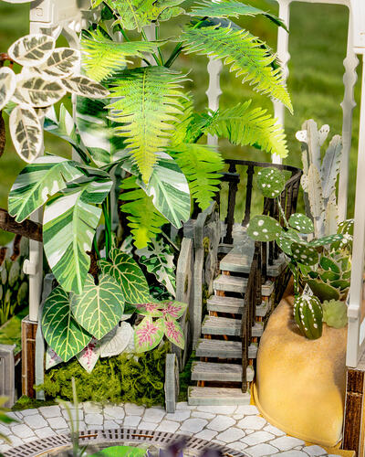 Follow the Path From Desert to Rainforest