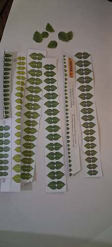 724992572283157469180152917188477559383469257n