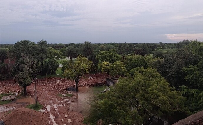 inbound7443135429283933849