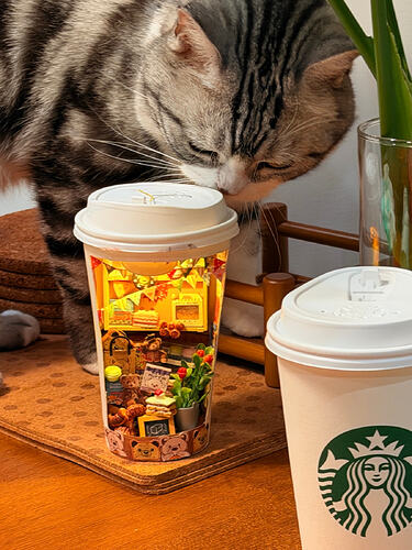 cat inspecting the tiny coffee cup scene