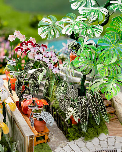 Rare Botanical Pots