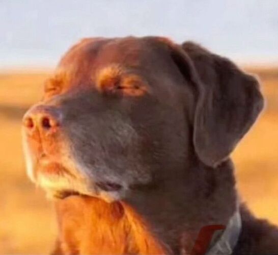 b9cf4c5b887916e4f9ec92f1d82486e1