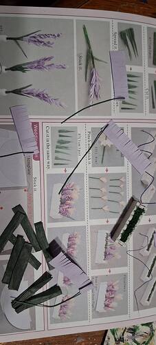 658316287_27400035452919780_7630471233742294177_n