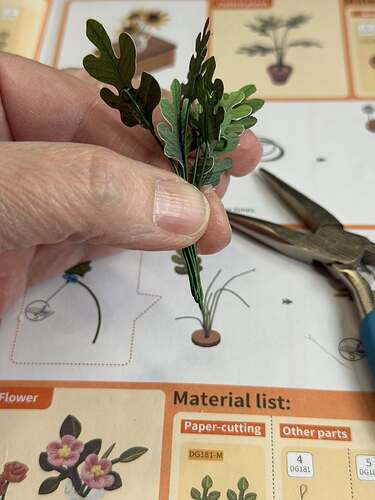 636759660_10164323108708120_5186742204298226778_n