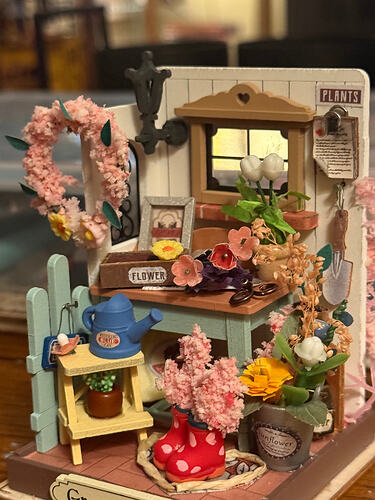 IMG_6153
