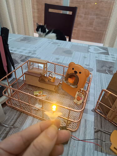 IMG_20260302_174926923_HDR