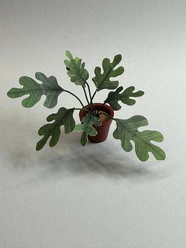 636970725_10164323108318120_7285433747111838736_n