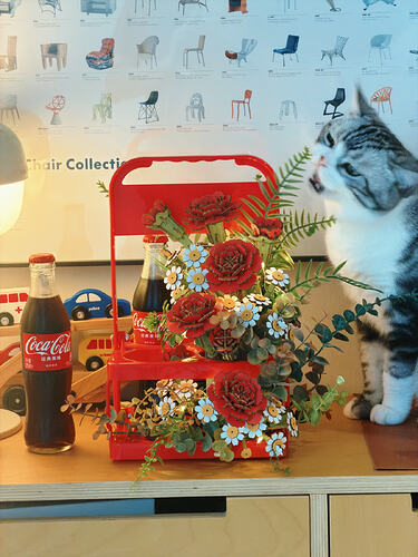cat beside the finished Coca-Cola flower basket at home