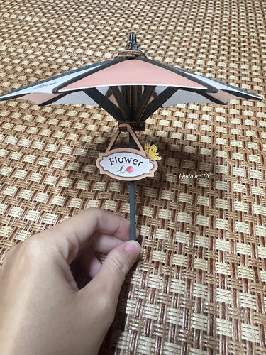 z7360469285768_33adce3adcfd892cd6969aaa850d7613