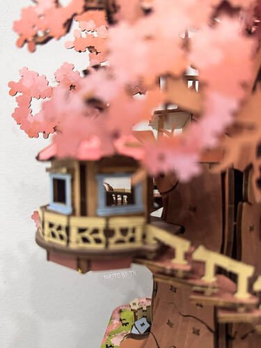 20250703_133606599_iOS