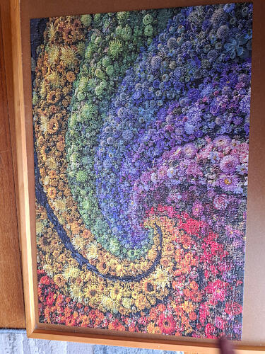 1000027125
