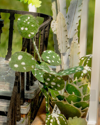 Desert Botanicals