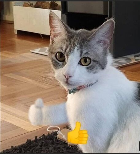 17685866241702757525026814910818