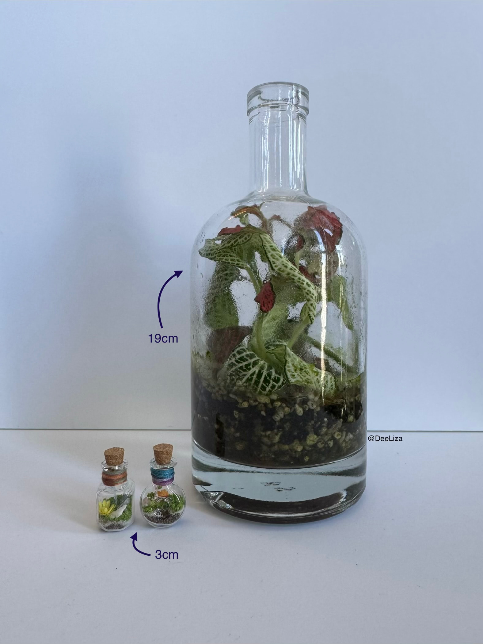 Miniature terrariums displayed on the added cart shelf