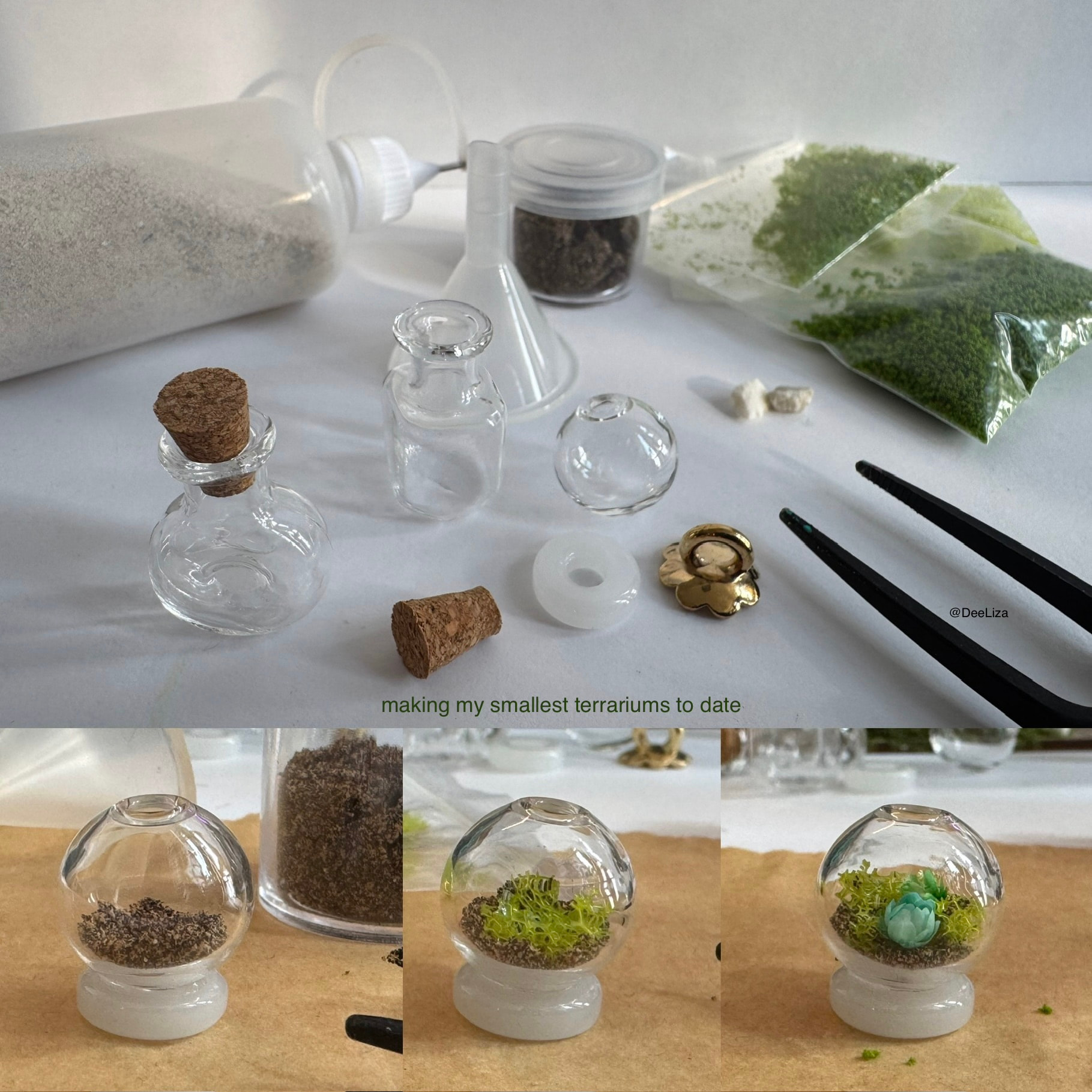 Handmade miniature terrariums for the customized Blossom Cart