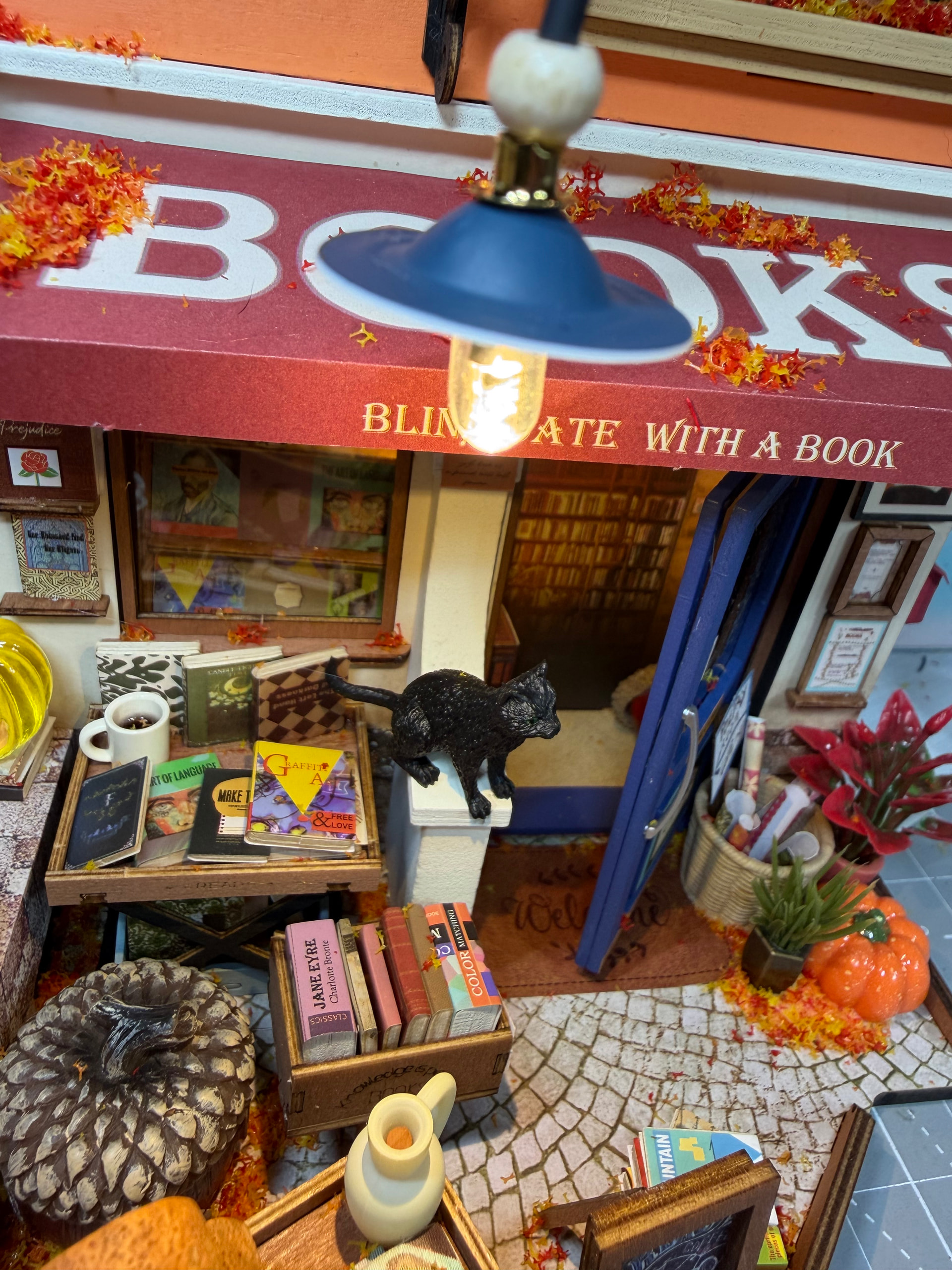 Beleuchtete Markise des Corner Bookstore wirft warmes Licht auf Bücher, eine schwarze Katze, Pflanzen und Kürbisse