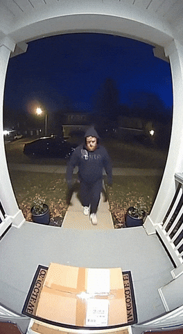 Jake Paul Ai GIF