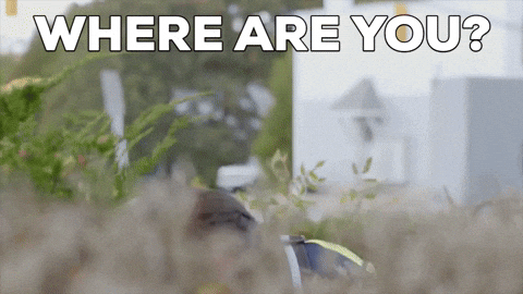 Where Are You Hello GIF by StittsvilleOnPatrol (1)