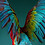 Ayesha_Shameena